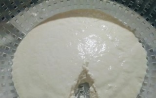 Formaggio fatto in casa